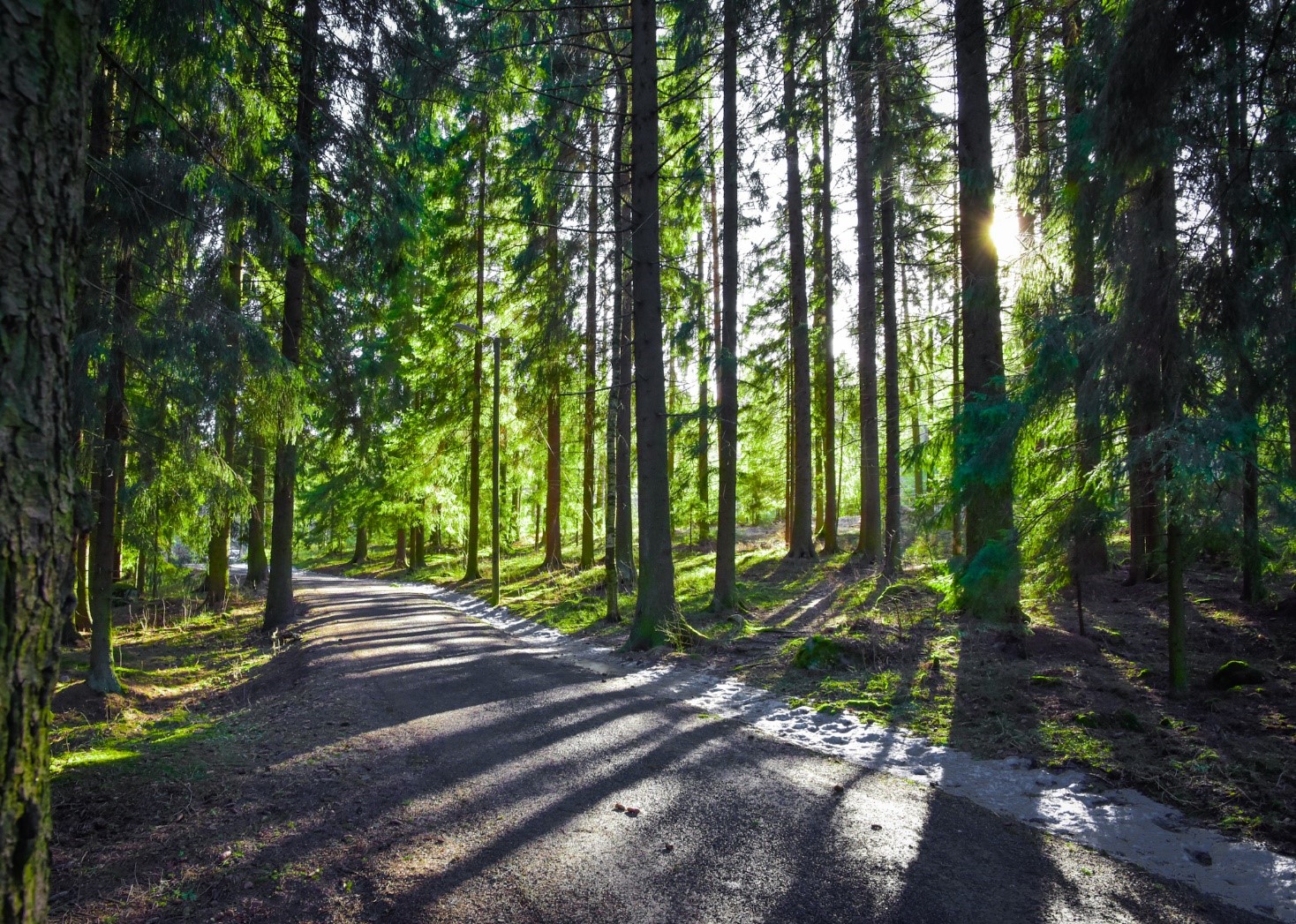 Kevään 2023 yhteishakuinfo abeille